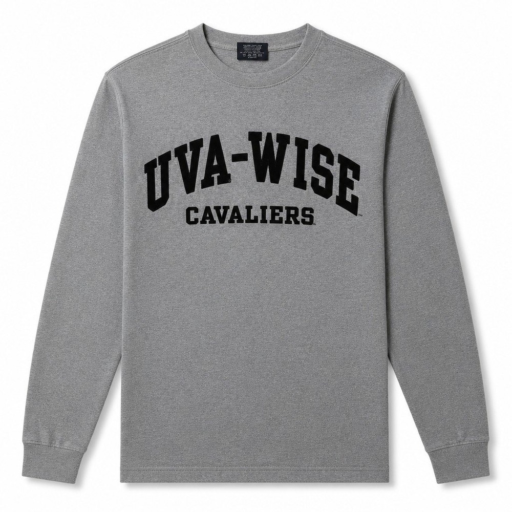 VTG University of Virginia at Wise Highland Cavaliers Shirt Mens S Gray Jansport